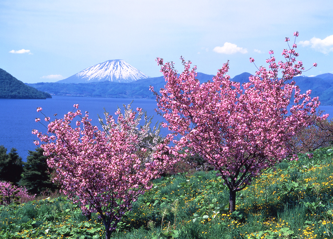 春の北海道（画像）